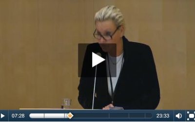Nyhetsbrev 7 – Debatt och beslut